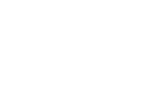 Logo_Boon-Edam